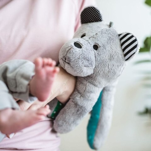 WHISBEAR Szumiący Miś z funkcją CRYsensor cytryna WHISBEAR Szumiący Miś z funkcją CRYsensor cytryna